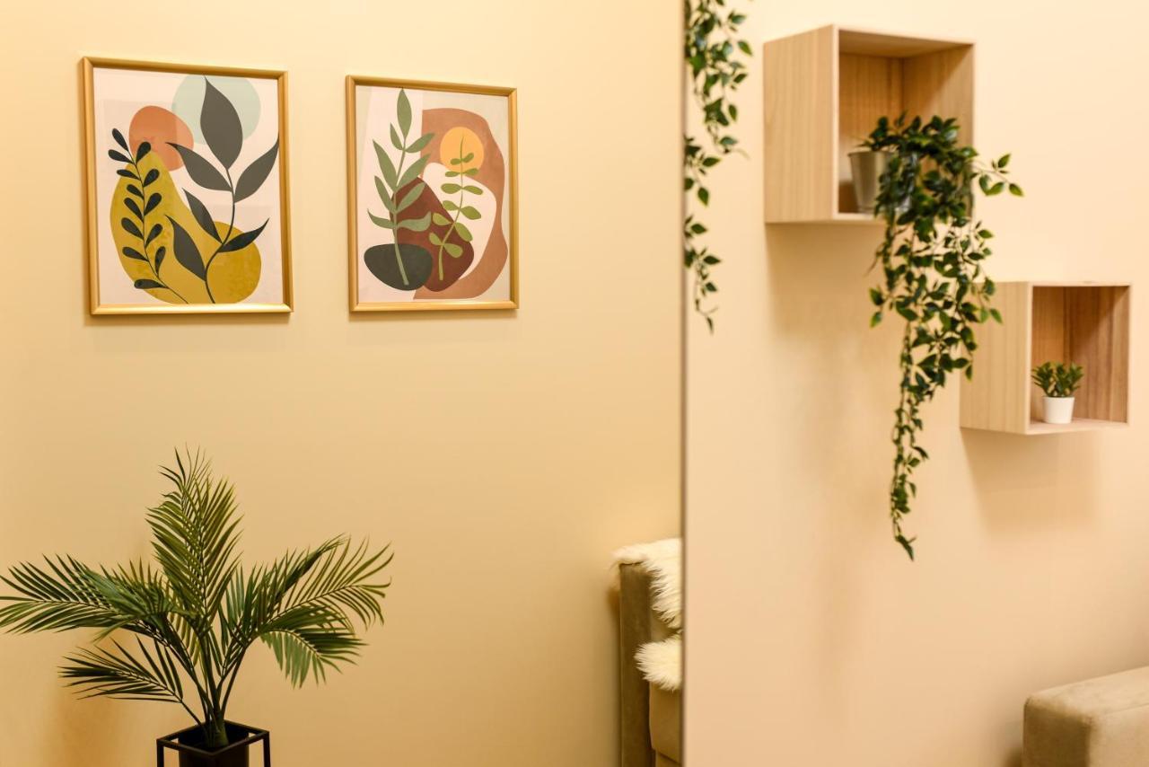 Green Leafy Brasov - Ideal 2 Bedroom Apartment Екстер'єр фото